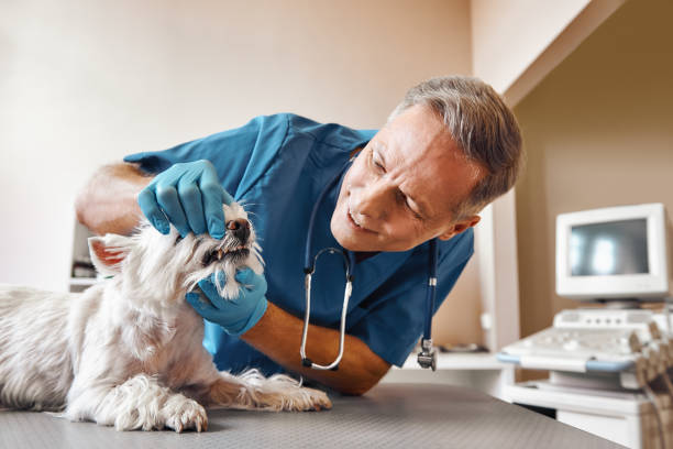 Dentist for Dental Trauma in KY